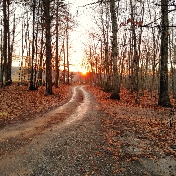 Meet your Posher, Rose - Picture 3 of 5